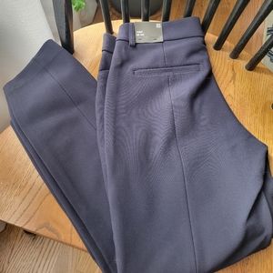 NWT Express Mid Rise Navy Skinny Pants